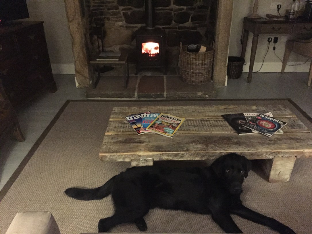 Lord Crewe Arms - Log Fire