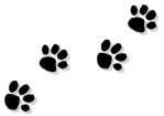 Paw Print