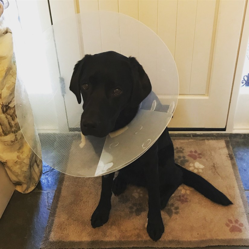 One happy chappy! NOT!